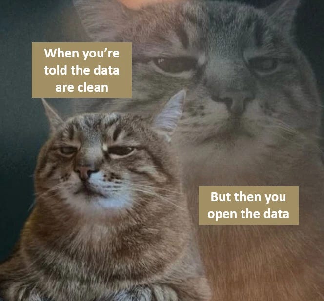 A sassy cat with the text "When you're told the data are clean" and the cat's reflection that says "But then you open the data" A sassy cat with the text "When you're told the data are clean" and the cat's reflection that says "But then you open the data"