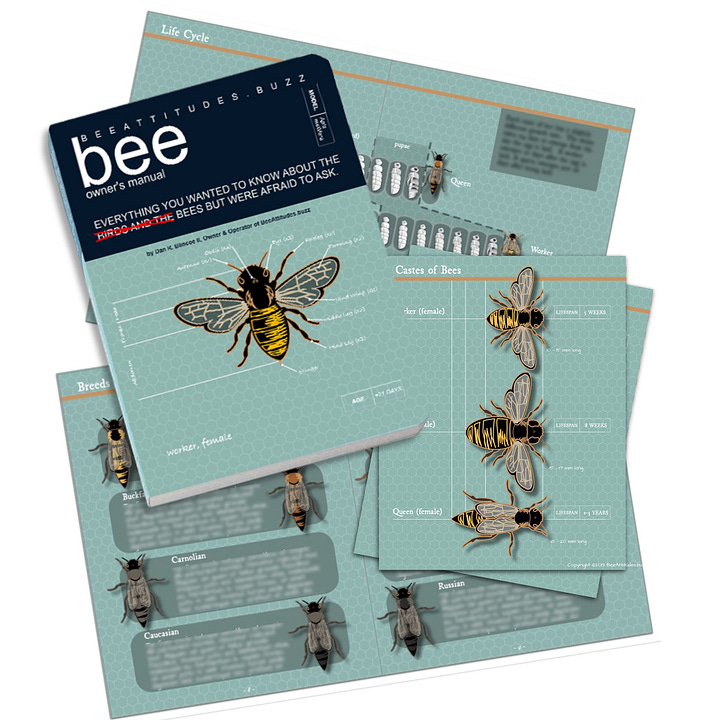 Creating illustrations for a beekeeping manual for my hobby and other business.