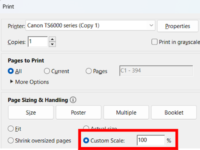 Screenshot of PDF printing menu, highlighting the "Custom scale" option.