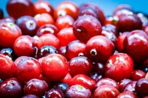 Cranberries