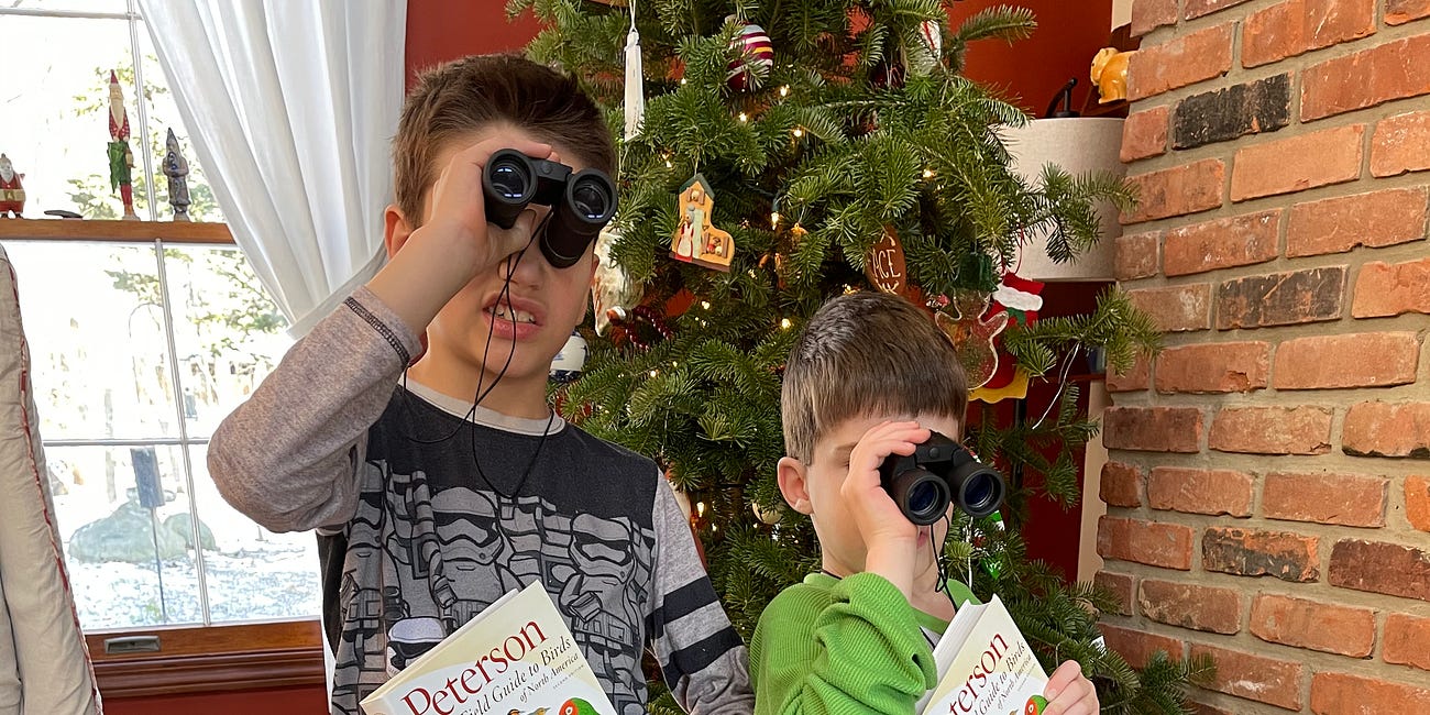 Raising Young Birders