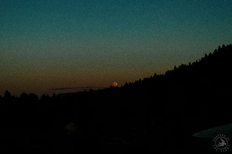 Fuji photographs of life in Montana by Tyler Knott Gregson