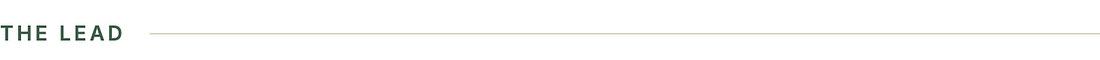 chip-the-lead.png