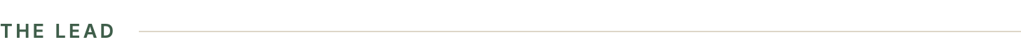 chip-the-lead.png