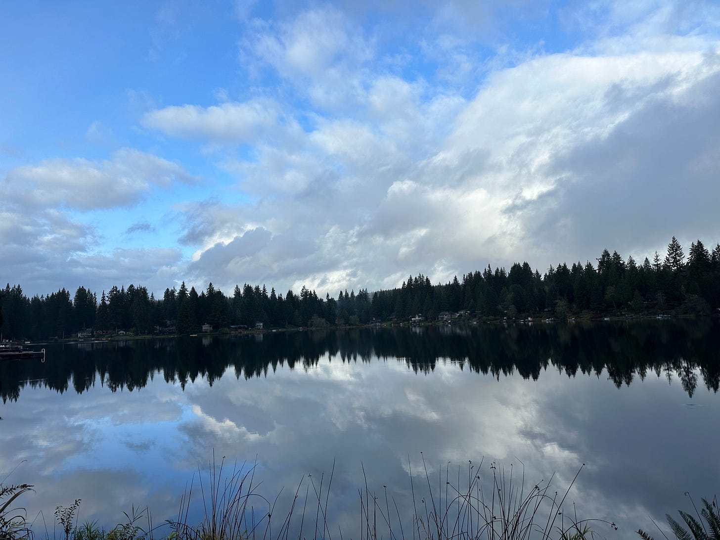 A blue sky with scattered clouds reflected on the glassy surface of a lake. The horizon is marked by a dark line of trees and houses. In the foreground are spiky plants and ferns.