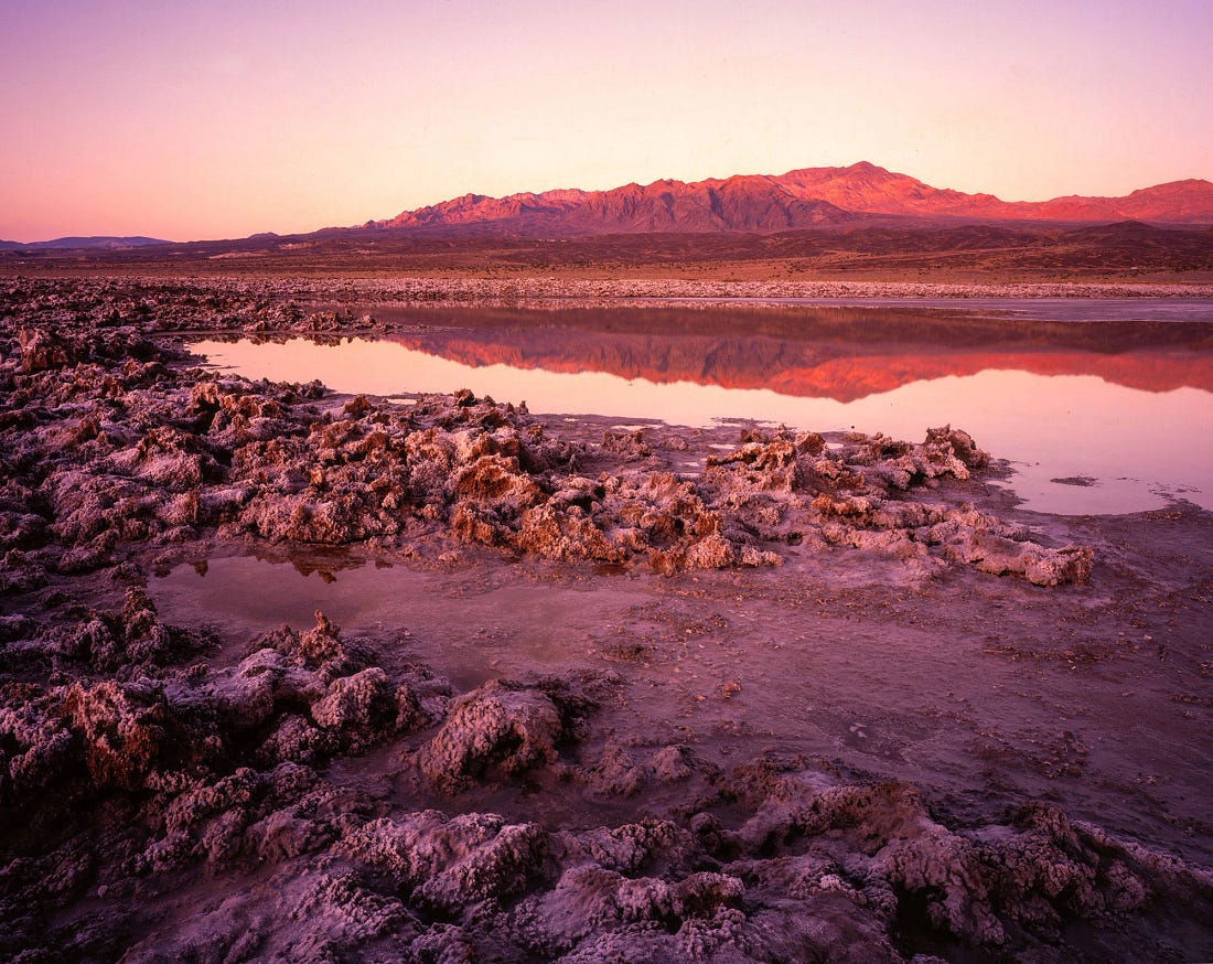Salt-encrusted formations and shallow pools reflect pink sunrise light across the flooded playa of Death Valley after rare rains, a temporary landscape that echoes the fragile habitats sustaining desert pupfish. Salt-encrusted formations and shallow pools reflect pink sunrise light across the flooded playa of Death Valley after rare rains, a temporary landscape that echoes the fragile habitats sustaining desert pupfish.