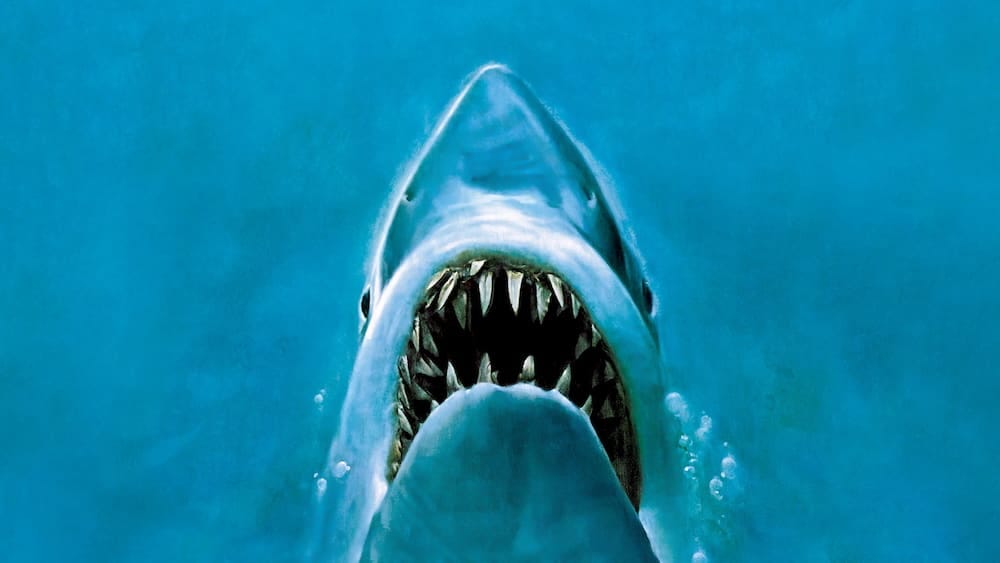 An illustration from the Jaws poster of a shark with its mouth open