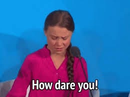 How Dare You Greta Thunberg GIF - How Dare You Greta Thunberg Greta -  Discover & Share GIFs