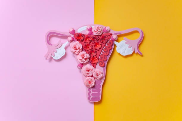 Picture of uterus made of flowers