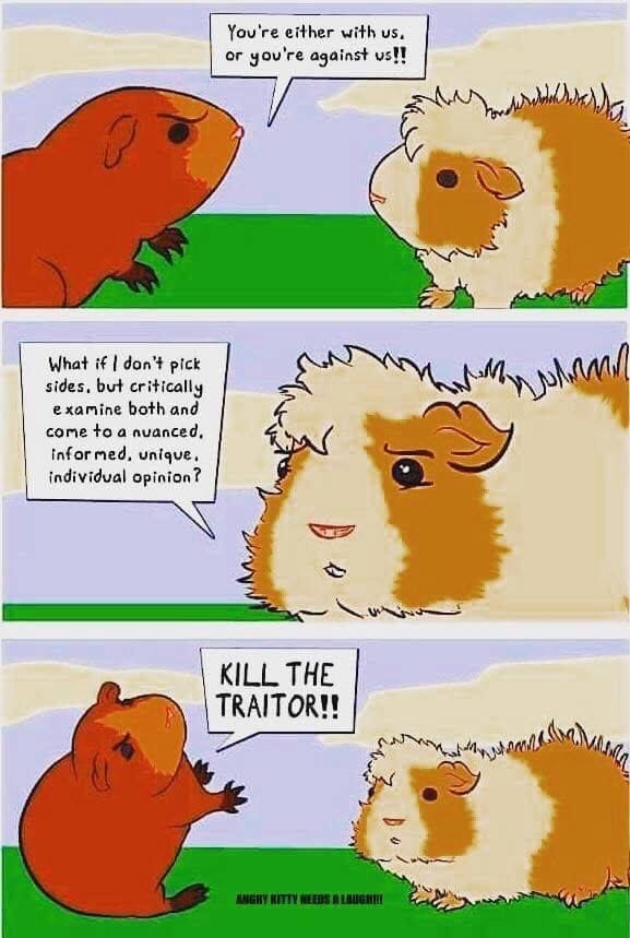 May be an image of animal and text that says 'You're either with uS. or you're against us!! What f don't pick sides. but critically examine both and come to nuanced, infor med. unique, individual opinion? KILL THE TRAITOR!!'