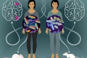 In a twin study, researchers successfully characterized gut bacteria involved in multiple sclerosis and provided evidence of their pathogenicity.