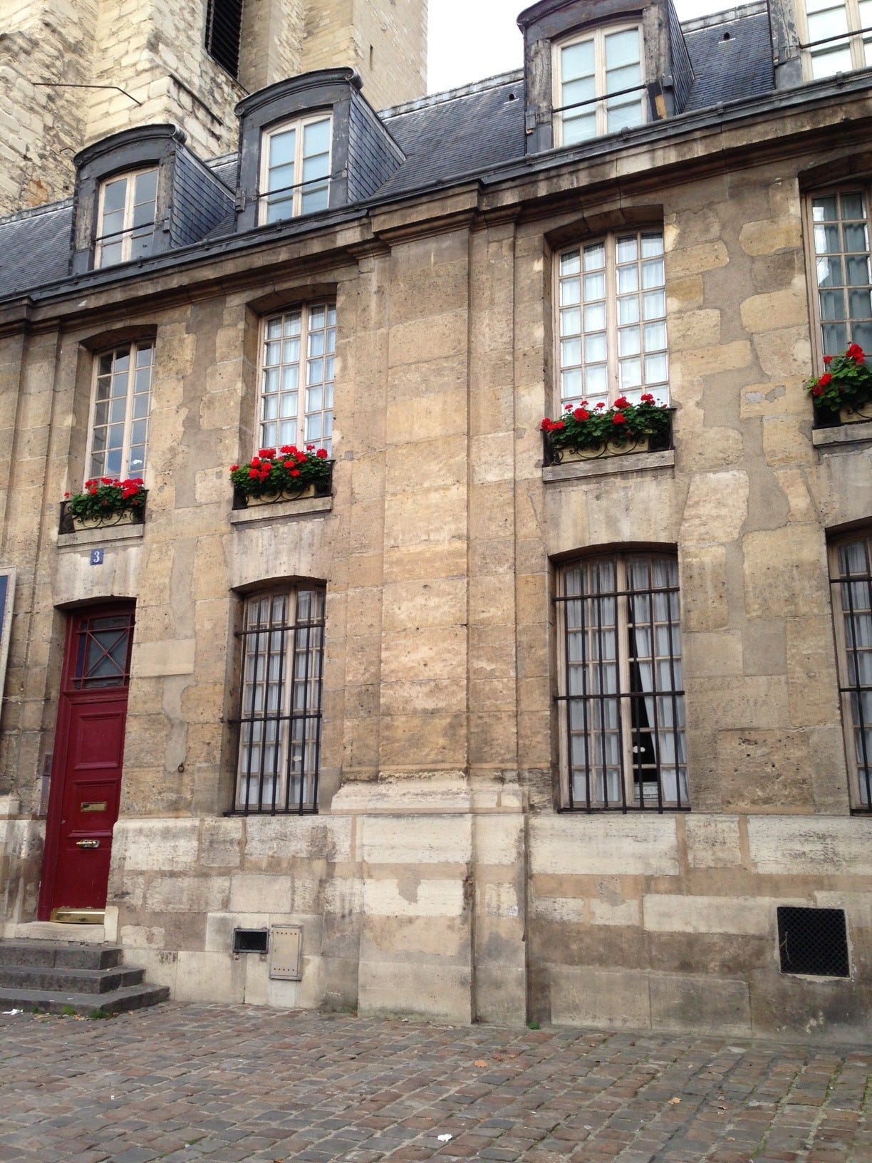 red geraniums (st germain-des-pres)