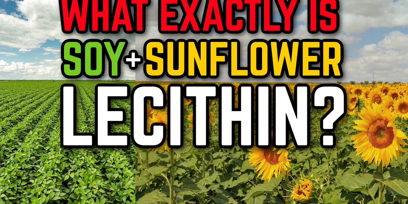 What is Soy & Sunflower Lecithin Ingredient? Let's Find Out... 