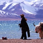 哭泣的高原净土——记大藏区生态之殇 The Plateau of Shedding Tears——A Reflection on Tibet’s Ecological Crisis