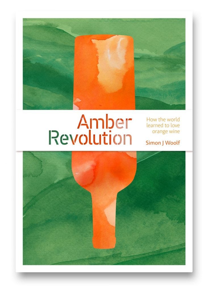 Amber Revolution - cover art version 1 Amber Revolution - cover art version 1