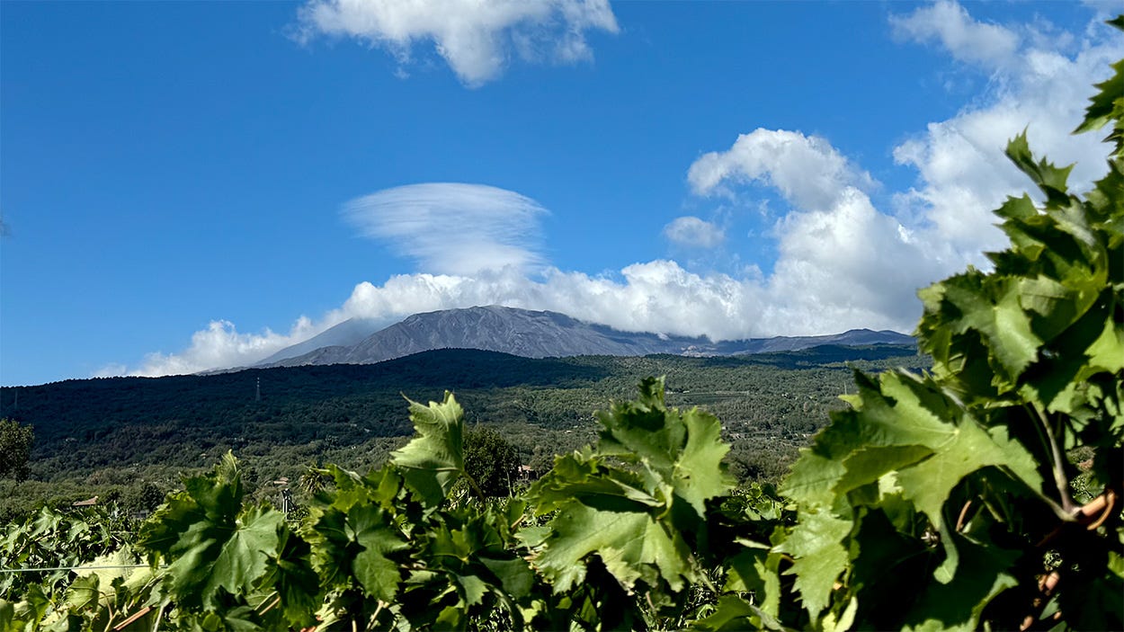 Landscape view with Mt. Etna framed against a blue sky. There are white clouds above it, and in the foreground rolling hills and grapevines Landscape view with Mt. Etna framed against a blue sky. There are white clouds above it, and in the foreground rolling hills and grapevines