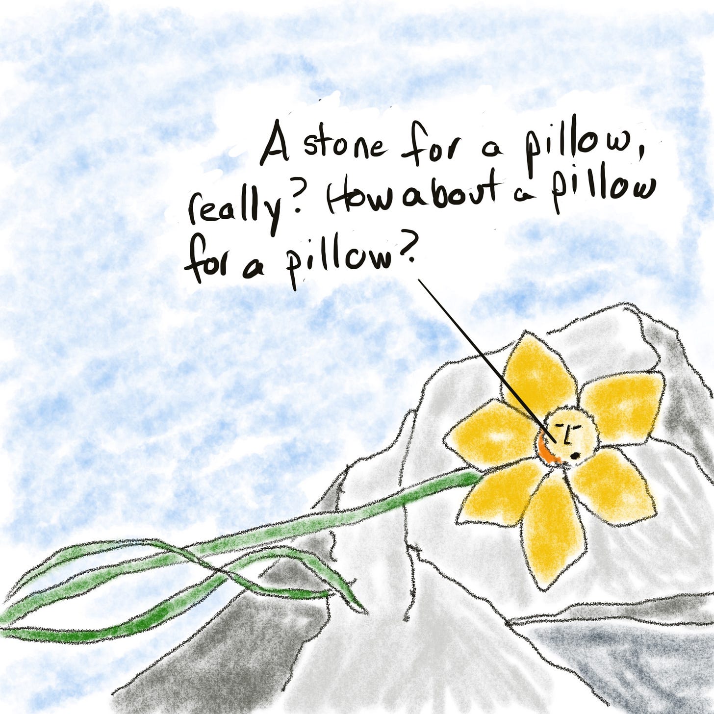 A daffodil rests its head on a stone