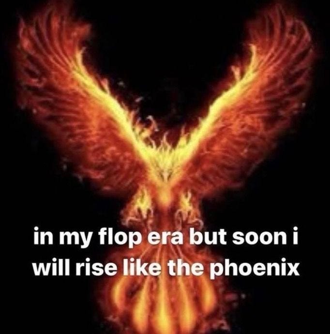 This may contain: an orange bird with the words in my flop era but soon i will rise like the phoenix