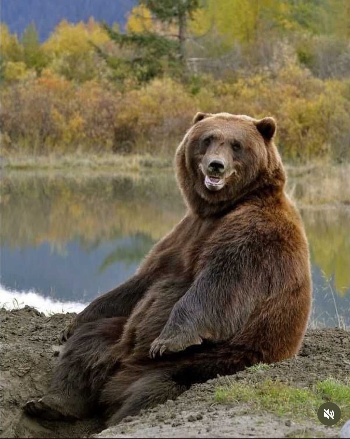 Marty Peercy (he/him)