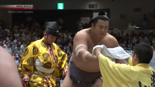 Sumo Stomp! | Tim Bissell | Substack