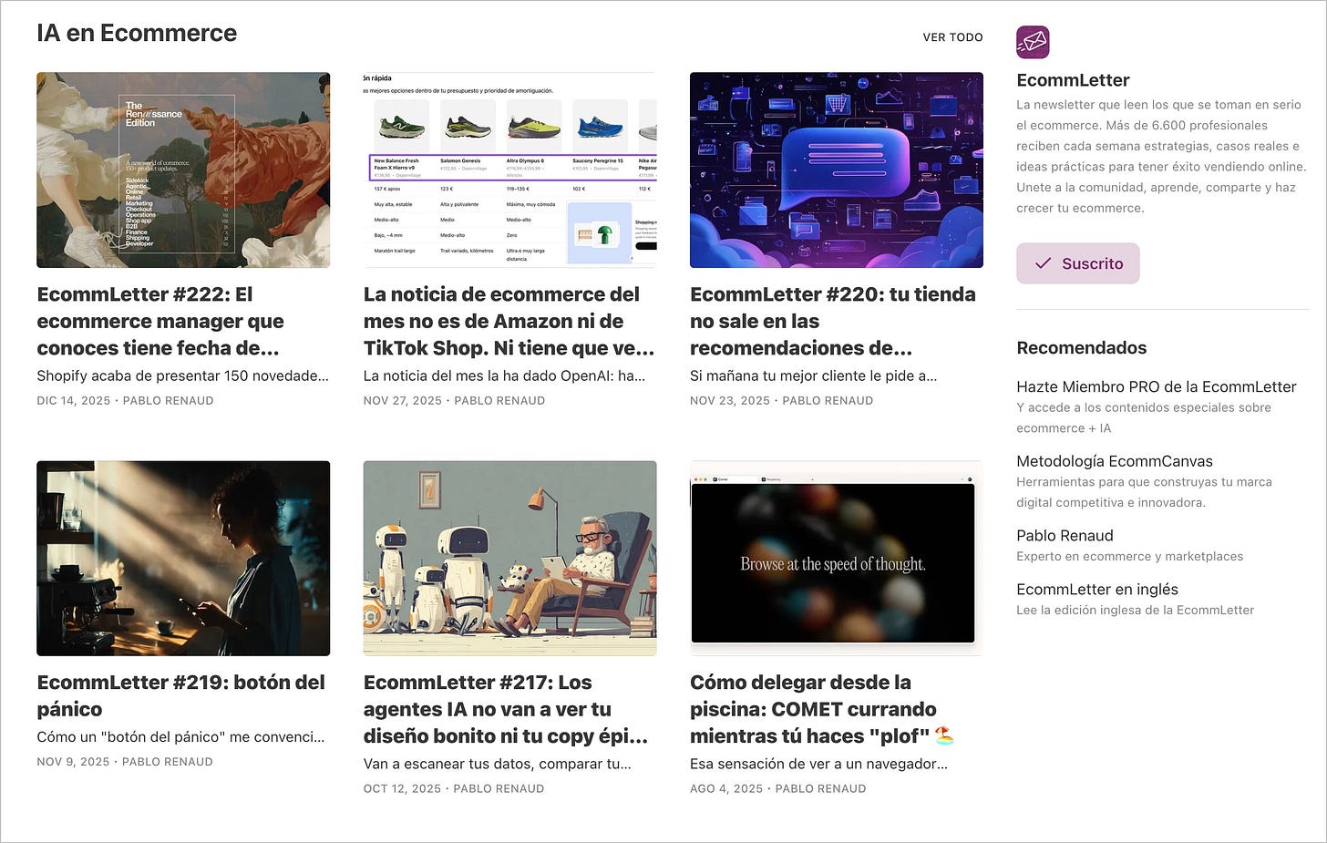 archivo de la EcommLetter sobre IA + Ecommerce