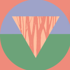 Vancouver Urban Food Forest Foundation