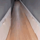 Ladies Crying At Kamala. Tabs, Mon., Sept. 9, 2024