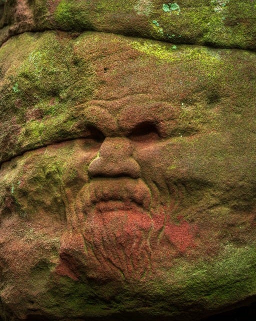 No photo description available.