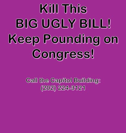THE FIGHT IS ON! - Big Ugly Bill – Republicans Cross The Aisle To Battle Medicaid & SNAP Cuts