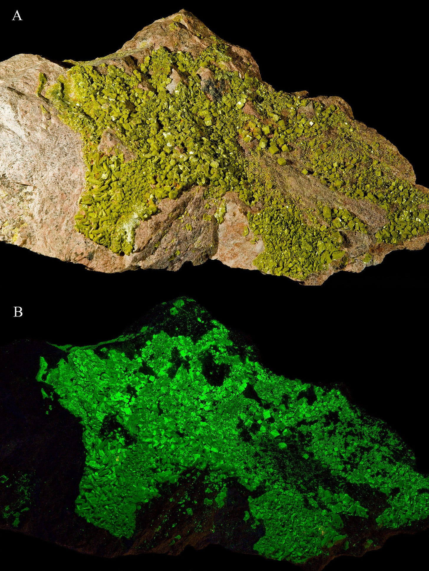 Autunite under UV light