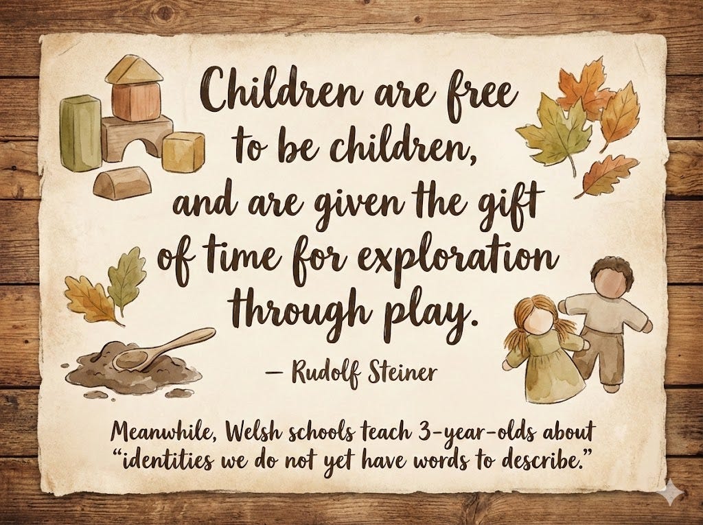  Rudolf Steiner educational philosophy quote on natural wood texture background stating children are free to be children and given gift of time for exploration through play - contrasted with Welsh schools teaching undefined gender identities to 3-year-olds