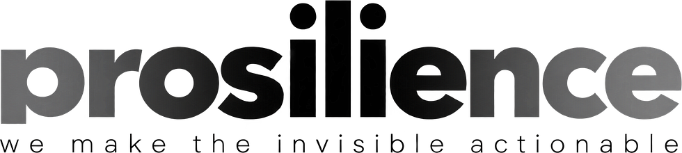prosilience - we make the invisible actionable.