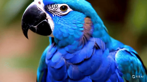 Kling AI video of a blue parrot turning its head