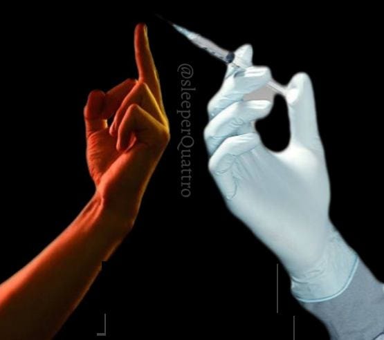 May be an image of xray
