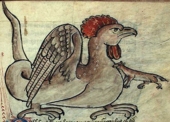 Medieval Bestiary : Basilisk