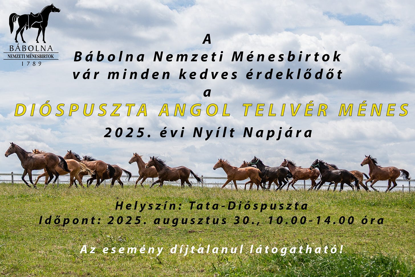 Nyílt nap Dióspusztán