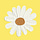 The Daisy Diaries