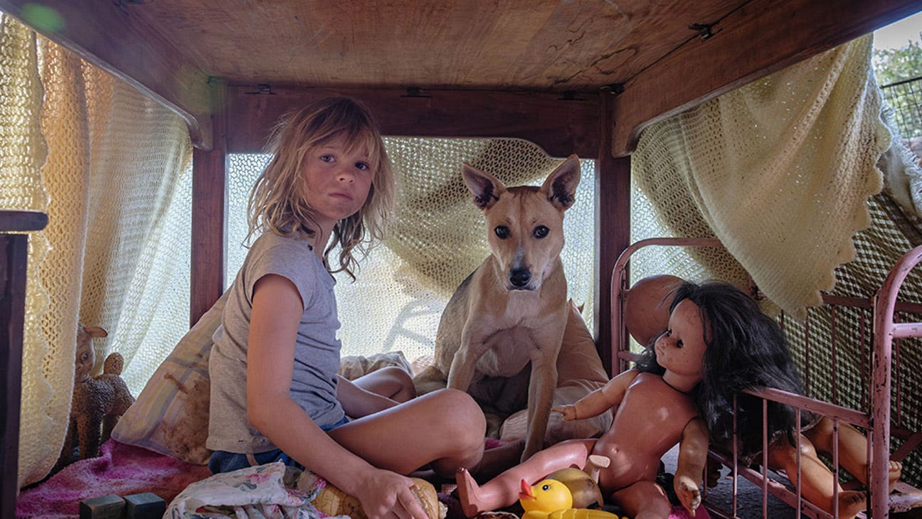 Don't Let's Go to the Dogs Tonight' Review: A Remarkable Adaptation Don't Let's Go to the Dogs Tonight' Review: A Remarkable Adaptation