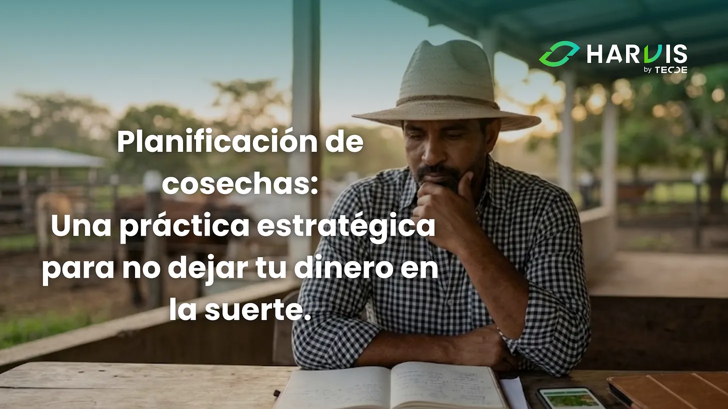 Planificación de cosechas: Una práctica estratégica para no dejar tu dinero a la suerte.