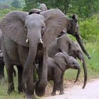 An Open Letter To The 17 Sane Congressional Republicans