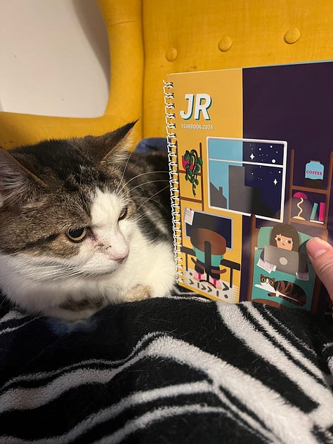 Pictures of swirls, a tabby and white cat. He sits on a yellow chair and looks at the JR mgazine.