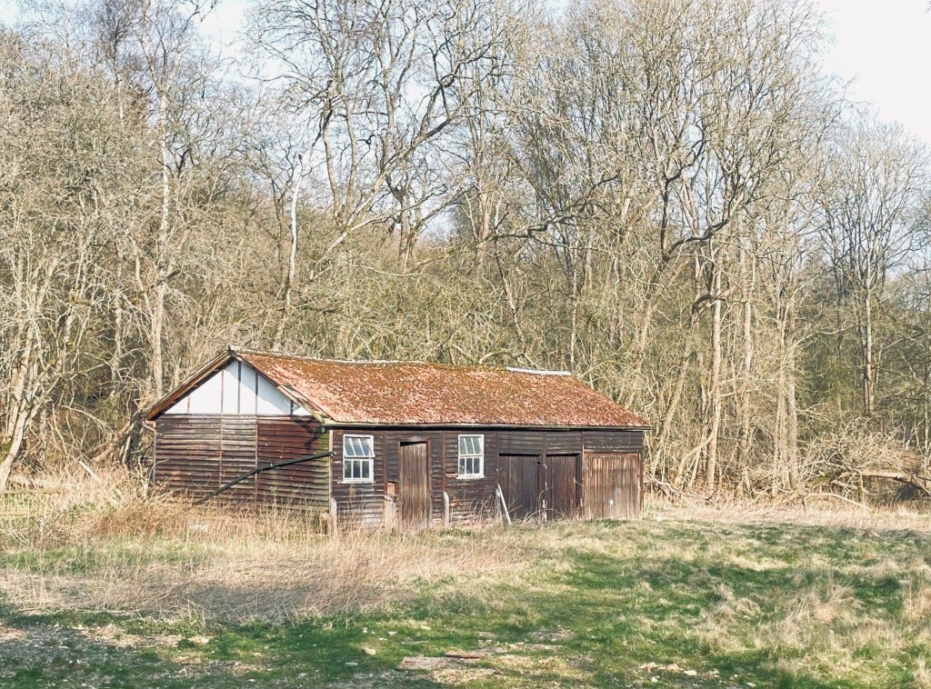 along a route in Ashridge along a route in Ashridge