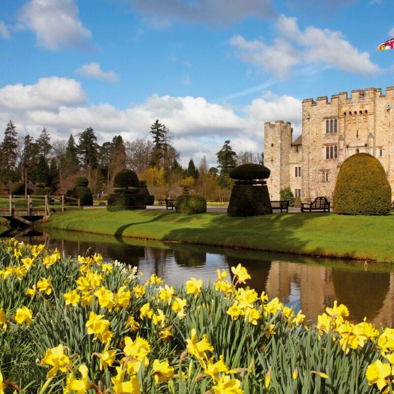 A castle with a river and yellow flowersDescription automatically generated