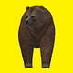 Der Bär