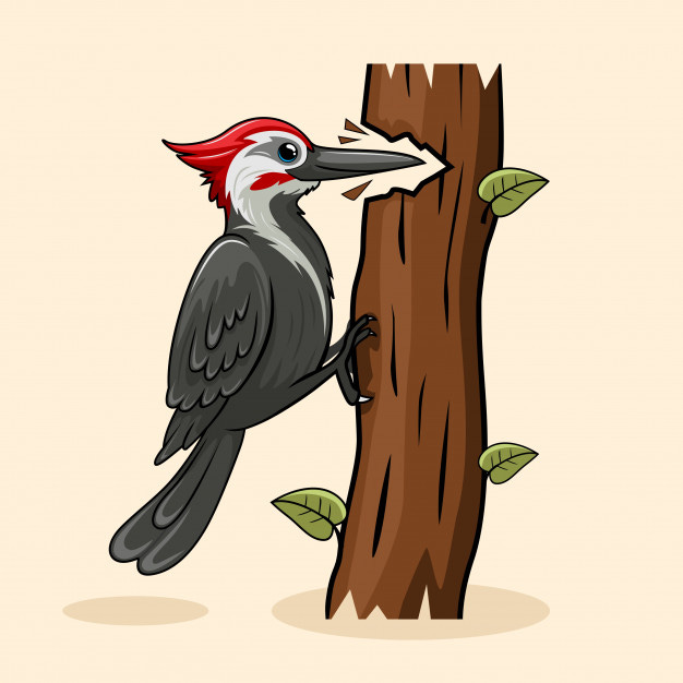Substack profile picture for @woodpecker
