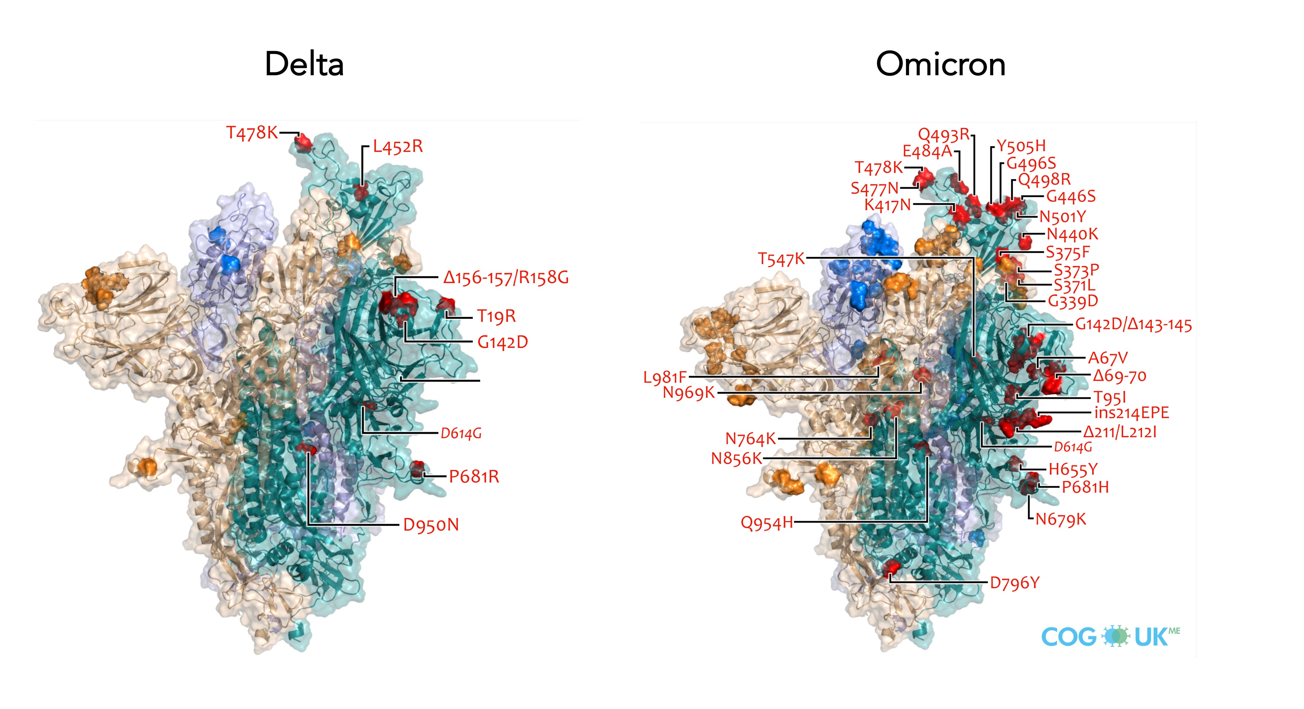 A break from Covid waves and a breakthrough for preventing Long Covid