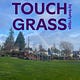 touch grass