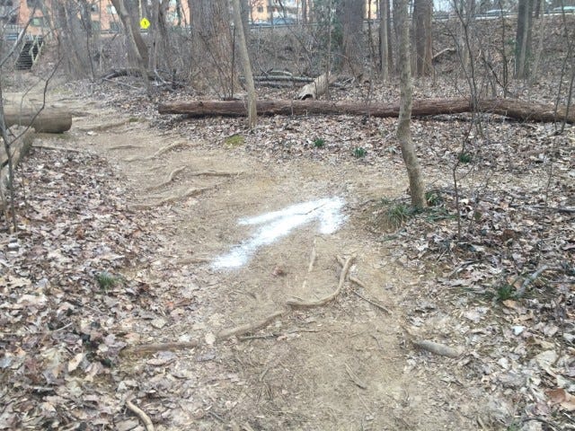 May be an image of tree and grass May be an image of tree and grass