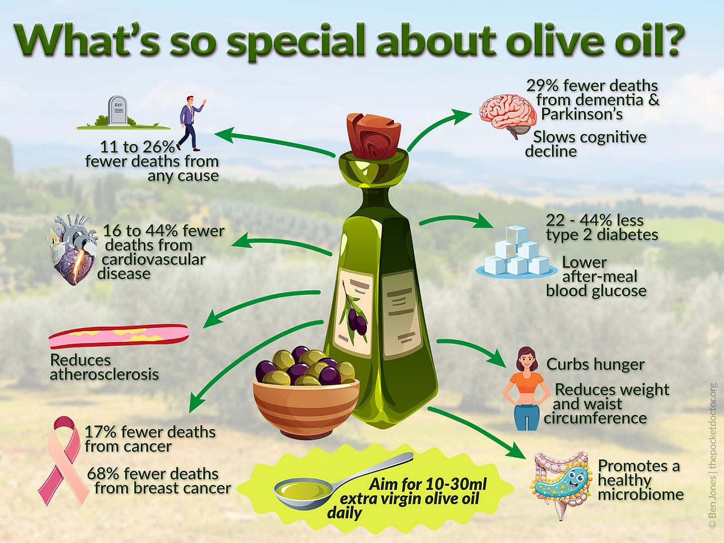 An infographic illustrating some of the health benefits of olive oil.