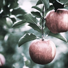 The low-hanging fruits of the liberty tree
